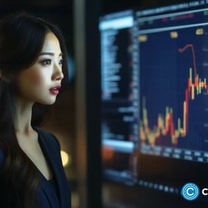 Toncoin and Dogecoin holders examining Pushd presale