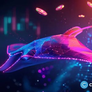 Manta Network hit with now resolved DDoS attack