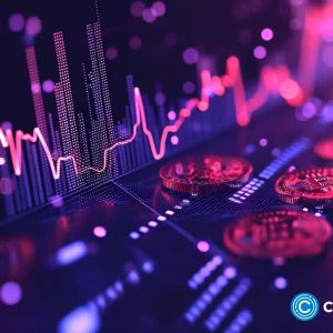 Pushd picks up steam, presale draws XRP and Solana holders