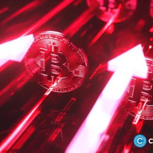Analyst: Bitcoin looks to be long-term hedge against inflation