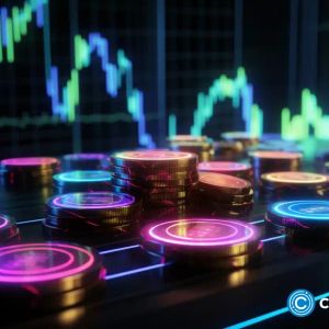 New meme coin adds 100%, will it follow BONK?