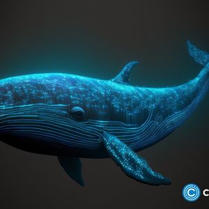 Crypto whales accumulating ETH, XRP, and GFOX