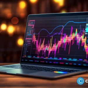 Polygon offers grants for zkEVM developers; Kaspa and Borroe Finance gain ground