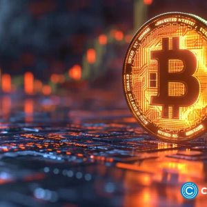 Bitcoin falls after ETF approval; investors turn to Chainlink and NuggetRush
