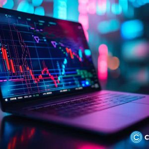 Celestia and Injective bullish, KangaMoon community-driven meme coin soaring