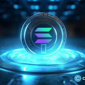 Solana stops processing transactions, SOL sinks by 4%