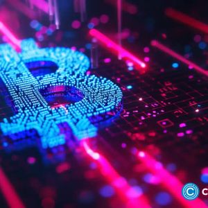 Bitcoin reclaims $50,000, BNB and InQubeta post solid growth