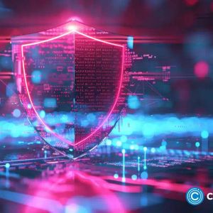 Ethical hacker forms Security Alliance to protect crypto projects