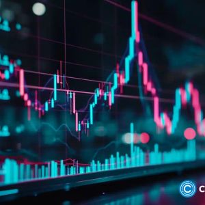 Trader Joe unveils experimental DN-404 token