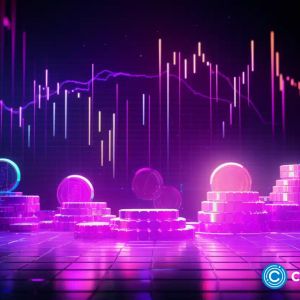 Polygon and Chainlink ride on DeeStream’s wave