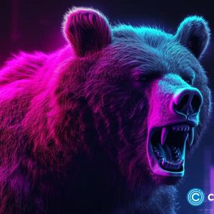 Chainlink and Solana fall, bulls turn to new meme coin