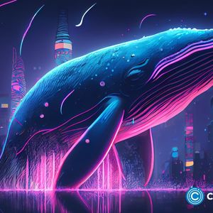 Whales move $115m of SOL; meme coin draws investor attention