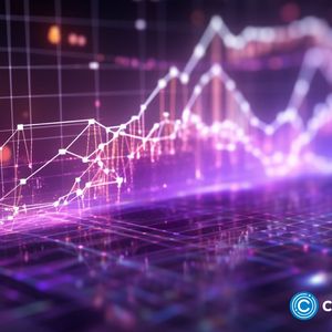 Hedge fund LedgerPrime rebrands post-FTX bankruptcy