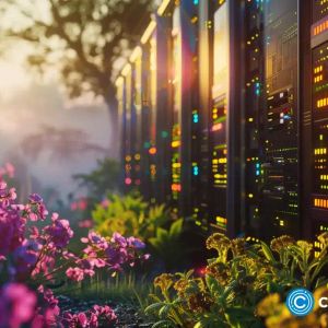 Taming the beast–four trends shaping the web3 data landscape | Opinion