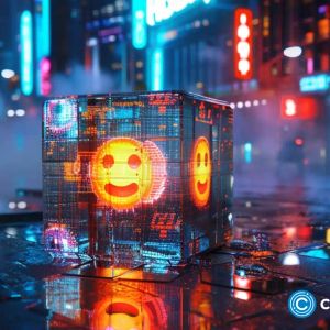 Top 3 cryptos attracting investors’ attention: KangaMoon (KANG) Solana (SOL) and Dogecoin (DOGE)