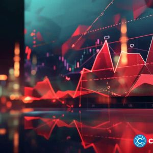 Kelexo presale draws diverse investor group, including BNB and ICP supporters