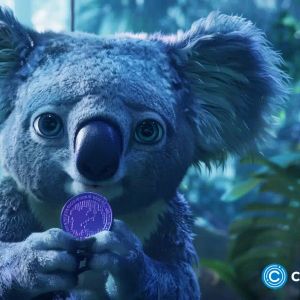 TRON and NEAR protocol users explore Koala Coin (KLC) offering