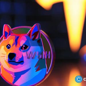 BOME, MEME, MEW, and DOGE20 defy market crash