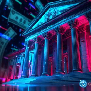 Borroe Finance’s ROE presale shows promise and could outpace BONK and SUI