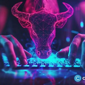 Has the crypto bull run of 2024 officially started? Insights and predictions