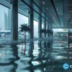 Biblical floods hit Dubai, disrupting Blockchain Life and Token2049
