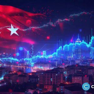 Turkey’s investing app Midas raises $45m to double down on crypto