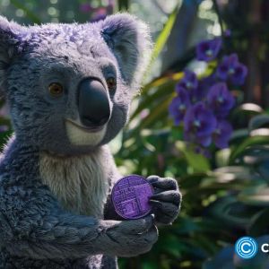 Koala Coin outshines BCH and ALGO amid market downturns