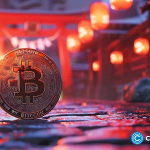 Japan-based Akita dog society adopts blockchain to combat forgery