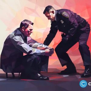 US DOJ arrests brothers for stealing $25m crypto in 12 seconds