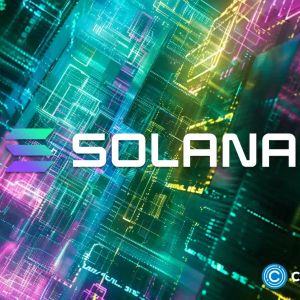 CoinGecko: Solana became fastest blockchain amid meme coin craze