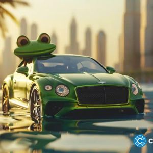 96% of PEPE holders in profit after month long rally