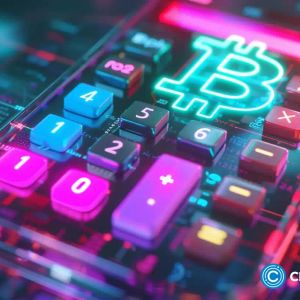 Crypto tax calculators to consider in 2024