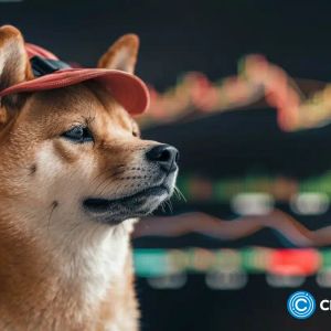 Dogwifhat rallies; PEPE, FLOKI record double-digit gains