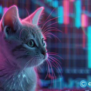 Catizen token price rises in pre-market ahead of airdrop