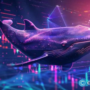 BEAM plummet to December lows triggers whale accumulation