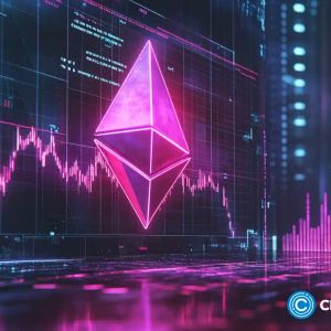 Ethereum looks bullish, whale activity declines