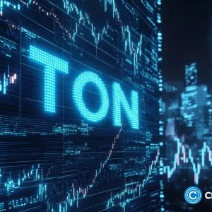 TON Society launches new program to support early TON developers