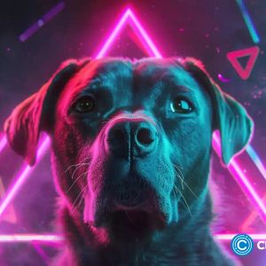 DOGS token suffers a harsh reversal, market cap falls $300m