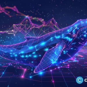 DTX Exchange builds excitement with $2.67m presale as TON, XRP whales load up