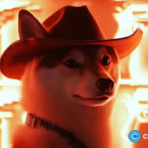 IntelMarkets surpasses $900K raised as SHIB traders enter its successful presale