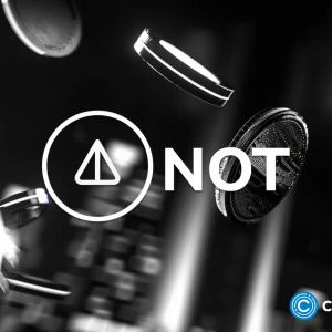 Notcoin price prediction: 2024 and beyond