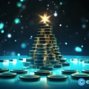 Five altcoins to check before the holiday 2024 altcoin rally begins