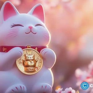 Solana meme coins: Dogwifhat competes with ETH-based meme coin Cutoshi