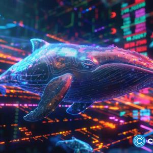 Whale panics amid Bitcoin dip, sells 2,019 BTC