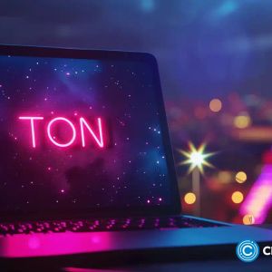 Toncoin is at risk as HMSTR, Catizen, Notcoin, and burn volume dive