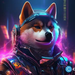 Shiba Inu déjà vu? 2 reasons SHIB price may rocket higher