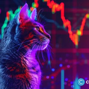 Popcat price forms a risky pattern, pointing to a 25% dive