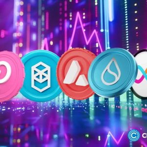 Top 5 altcoins from the 2021 bull run set to explode this cycle