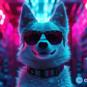DOGS meme coin partners with NGO to save homeless strays