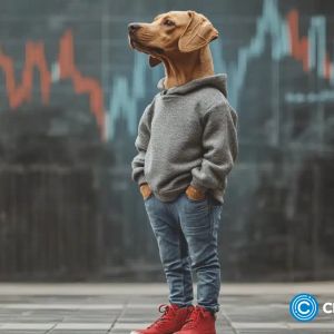 CHILLGUY pumps another 42%, prompting decisions on buy now or wait